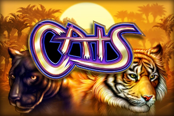 Cats at Rivo casino